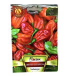 Seminte ardei extra-iute Habanero Red 20 seminte, Florian Bulgaria