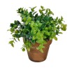 Bonsai Artificial in Ghiveci, 15cm, Decor Verde, Floare Ornamentala, Decoratiuni Casa