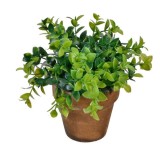Bonsai Artificial in Ghiveci, 15cm, Verde - Decoratiune Ornamentala Casa