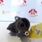 Electromotor Mini Cooper D 1.6-2.0 Diesel 0 001 138 040