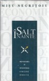 Salt inainte - Dezvoltarea si investitiile straine directe