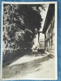 279 - Bucuresti - Scoala Centrala de fete, Fatada scoalei spre gradina mare, Necirculata, Fotografie