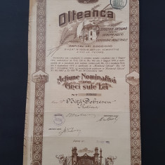 Actiune 1924 Olteanca Slatina / titlu / actiuni