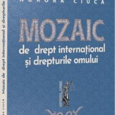 Mozaic de drept international si drepturile omului - Aurora Ciuca