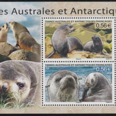 Animale din zona Polara,Antartica Franceza,TAF.