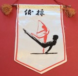 Fanion - Federatia de GIMNASTICA din JAPONIA