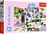 Puzzle carton 60 piese Lumea pisicilor,+4 ani, Trefl