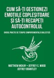 Cum sa-ti gestionezi emotiile coplesitoare si sa-ti recapeti autocontrolul - Herald