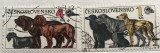 (B ) Timbre serii Straine tema Animale Cehia Caini, Stampilat