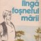 Langa fosnetul marii