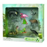 Set de 8 figurine pictate manual Wild Life, Collecta