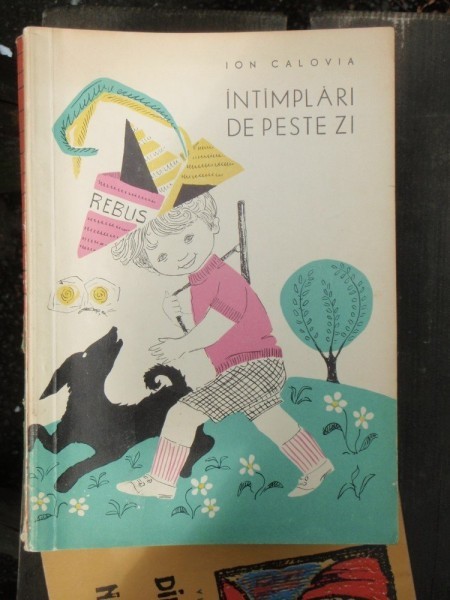 INTIMPLARI DE PESTE ZI - ION CALOVIA