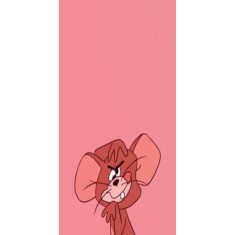 Husa Personalizata NOKIA 6 Jerry