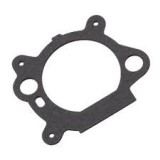 Garnitura Carburator Briggs-Stratton Quantum