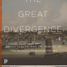 The Great Divergence: China, Europe, and the Making of the Modern World Economy