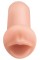 Foto  - 2