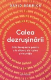 Calea dezrusinarii, David Bedrick, 2023, Bookzone