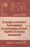 Principii si structuri fundamentale in matematica de liceu - Algebra si analiza matematica