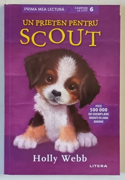 UN PRIETEN PENTRU SCOUT , ilustratii de SOPHY WILLIAMS , text de HOLLY WEB , 2018