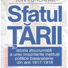 Sfatul Tarii. Istoria zbuciumata a unei importante institutii politice basarabene - Ion Turcanu