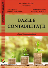 Bazele contabilitatii foto