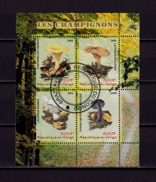 (C48) Congo 2009 ,&quot;Ciuperci&quot;, serie in bloc , non UPU, stampilata