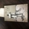 Nicolae Labis - Album memorial Pt