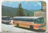 Bnk cld Calendar de buzunar - 1979 - Centrala Transporturi Auto Bucuresti