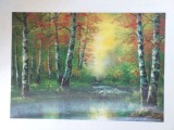 Peisaj cu padure si margine de lac / apa - Imagine miscatoare 3D - plastic, 34.5x24.5cm