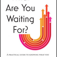 What Are You Waiting For?: A Practical Guide to Knowing What You Want and Making It Happen Now