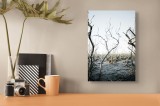 Tablou Canvas Peisaj Atmosferic cu Copaci Uscati și Cer Palid, 26 x 39 cm, CMCLASS
