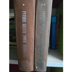 Memorator tehnic pentru montaj 2 volume