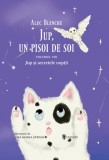 Jup, un pisoi de soi (vol. 8): Jup si secretele noptii - Univers