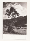 CA11 -Carte Postala- Valea Teleajenului la Cheia, necirculata