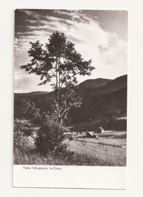 CA11 -Carte Postala- Valea Teleajenului la Cheia, necirculata foto