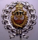 I.581 INSIGNA MILITARA WWI GERMANIA B.D.M.A. Bund Deutscher Milit&auml;ranw&auml;rter 10