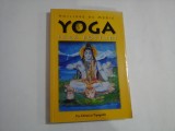 YOGA FARA POSTURI - PHILIPPE DE MERIC