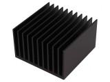 Radiator Extrudat cu Aripioare Negru 100x100x60mm