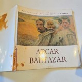 Album Arta Apcar Baltazar, Muzeul de Arta RSR, 106 pagini, 1980-1981, Coperta Brosata, Carte Folosita