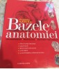 Bazele anatomiei Pierre Kamina