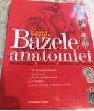 Bazele anatomiei Pierre Kamina