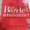 Bazele anatomiei Pierre Kamina