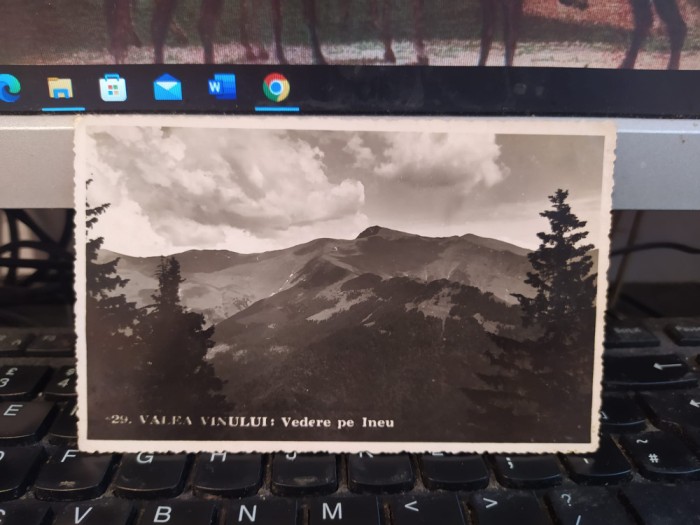 Valea Vinului, Vedere pe Ineu, 1935, 205