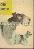 Cumpara ieftin Cainii Nostri - Z. Dumitrescu-Busulenga, M. Lungutescu, 1989, Medicina Veterinara, Asociatia Chinologica, Bucuresti