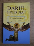 Darul ingerului. Povesti crestine pentru copii