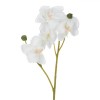 Floare Artificială Orhidee, 35cm, Culoare Alb Crem, Material Plastic, Oem