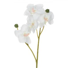 Floare Artificială Orhidee, 35cm, Culoare Alb Crem, Material Plastic foto