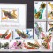 Rwanda 1972 fauna fluturi insecte MI 538-547 + bl.30 MNH