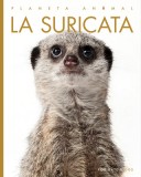 La Suricata