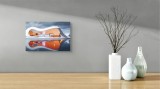 Tablou Canvas Modern Vis Plutitor &icirc;n Nori de Argintiu, 39 x 26 cm, CMCLASS